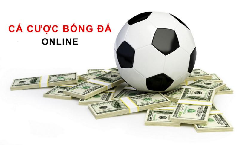 Khám phá trải nghiệm chơi thú vị tại Royal Panda Online Casino cùng nhiều phần thưởng hấp dẫn