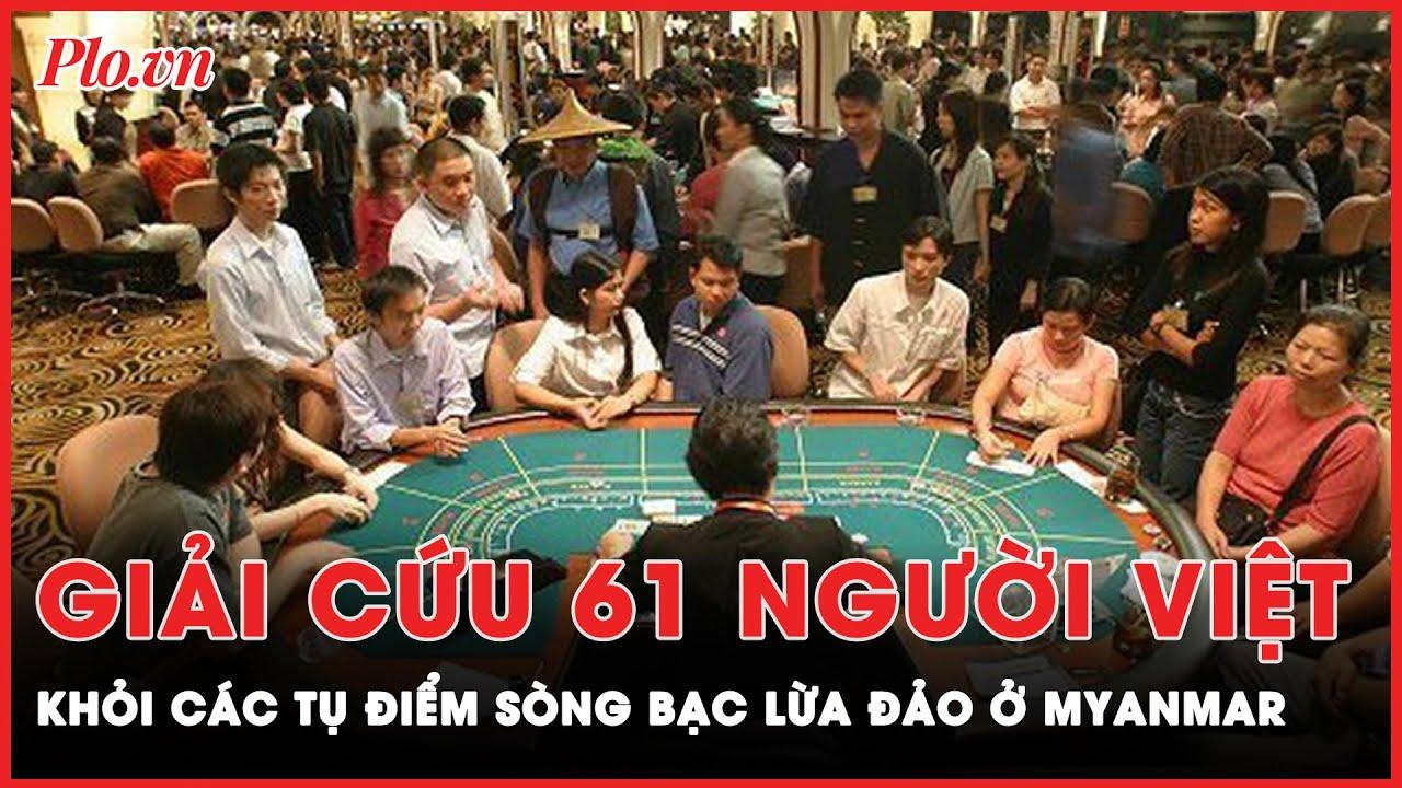Hướng dẫn tra cứu chứng chỉ hành nghề nhanh chóng và chính xác cho mọi lĩnh vực