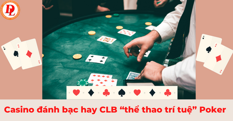 Khám phá bí quyết chiến thắng tại 5 Star Knockout cùng trải nghiệm ấn tượng từ 5 Star Knockout